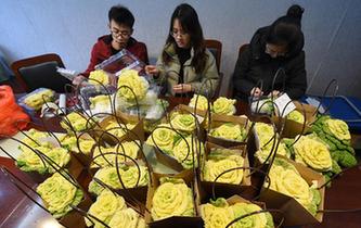 南京：“玫瑰白菜”面市