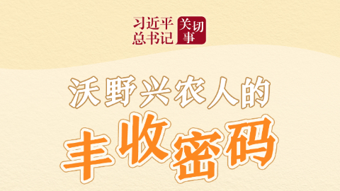 嘱托丨沃野兴农人的丰收密码