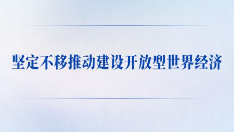 坚定不移推动建设开放型世界经济
