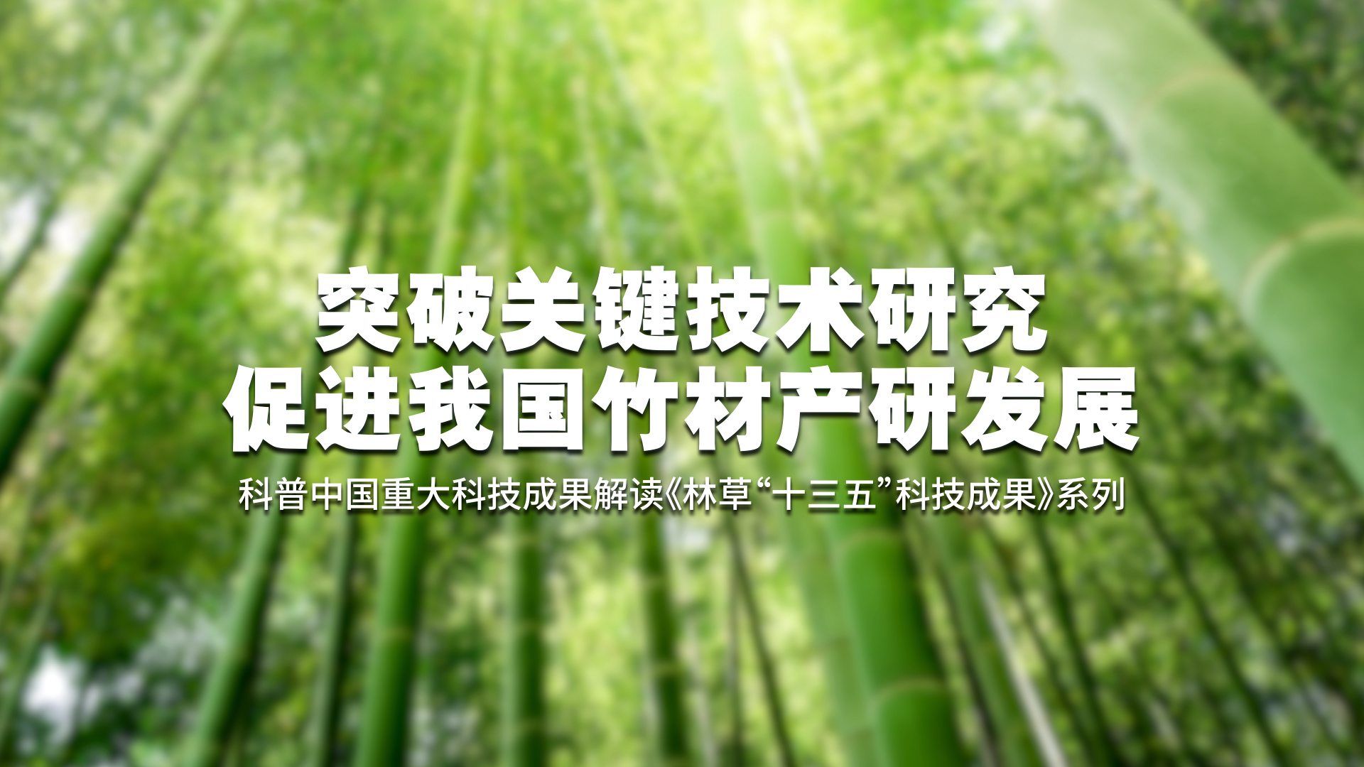 突破关键技术研究 促进我国竹材产研发展