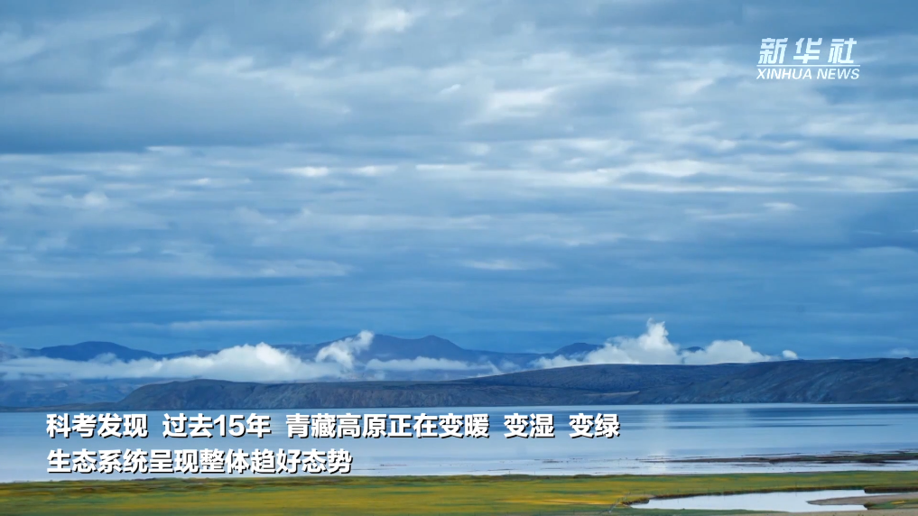20240819200ca87bf053439bb7c5296b2bc1e9ec_ff87981c74524b7e81d2a17faa9cccdb.png