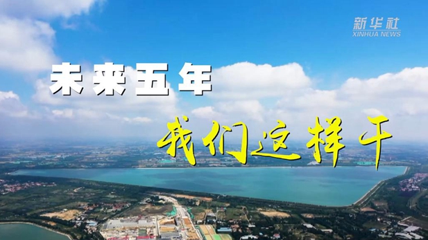 未来五年,我们这样干