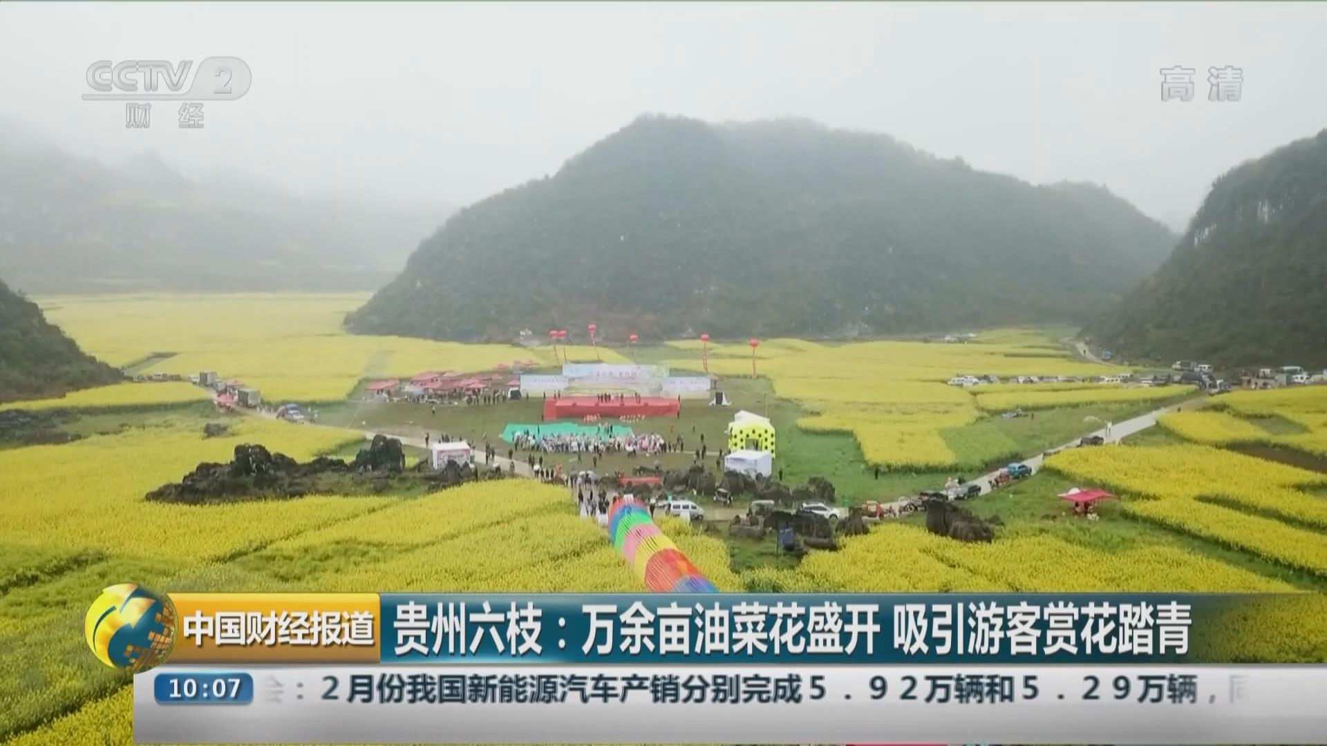 贵州六枝：万余亩油菜花盛开 吸引游客赏花踏青