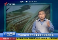 中国退运美国100多万吨转基因玉米