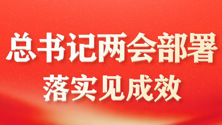 总书记两会部署落实见成效