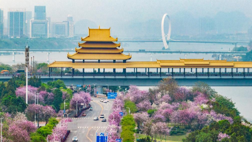 “山水工业名城”柳州：龙城古韵展新篇